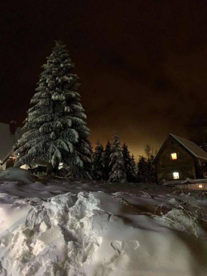 G&D Apartment Kopaonik Bagian luar foto